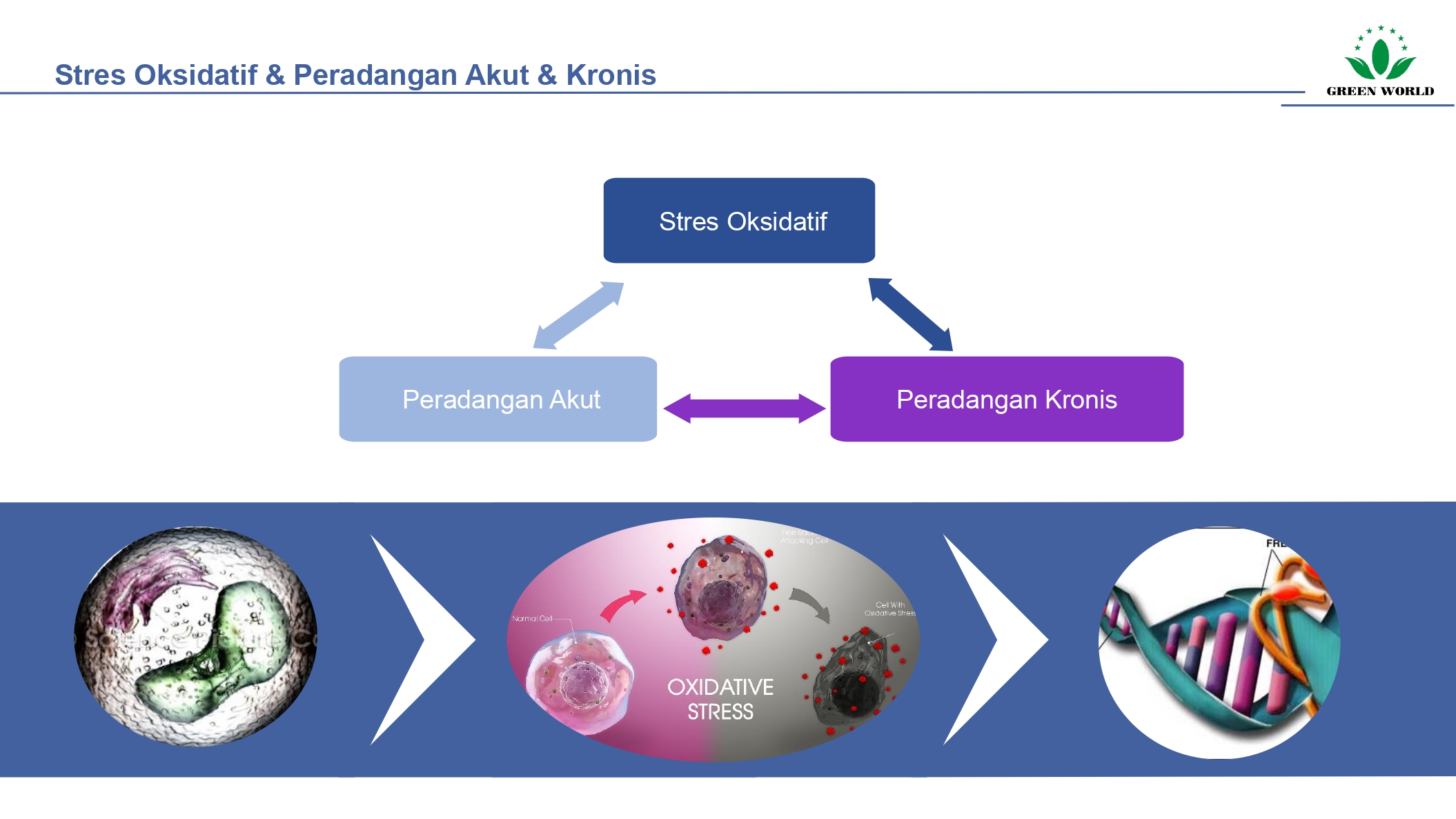 Education content image